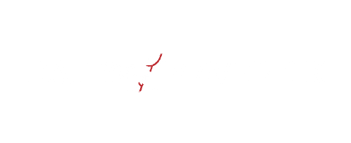 Daily Maverick Logo - Light